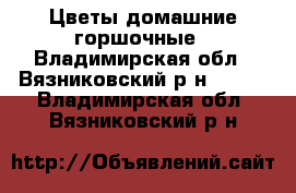 Цветы домашние горшочные - Владимирская обл., Вязниковский р-н  »    . Владимирская обл.,Вязниковский р-н